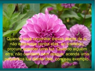 Quando você encontrar trevas diante de si, não esbraveje contra elas: ao contrário, procure acender uma luz. Quando alguém erra, não condene nem ataque: acenda uma pequenina luz diante dele, com seu exemplo. 