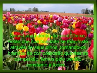 Deus habita dentro de você! Deixe, então que sua bondade se manifeste através de seus olhos, tornando-os brandos de compreensão,quentes de compaixão, ternos pelo perdão constante a todos...  