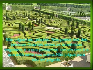 Não julgue seu próximo. Não pense mal das pessoas.Quantas vezes as aparências enganam, e o que pensamos  ser um erro é o que está certo nos outros.Não julgue para não ser julgado. 