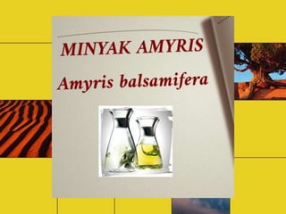 Minyak amyris