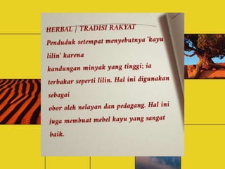 Minyak amyris