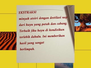 Minyak amyris