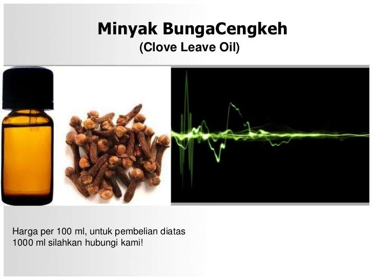 100+ Gambar Bunga Cengkeh Paling Cantik 100+ Gambar Bunga Cengkeh Paling Cantik
