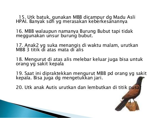 Minyak burung bubut hpai gosok minum balur pijat patah kaki