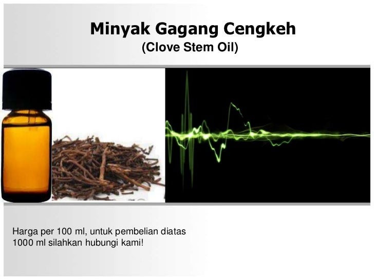 Minyak gagang cengkeh 