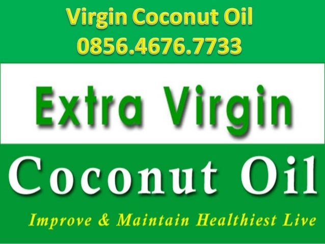62 856 4676 7733 jual minyak kelapa asli harga minyak 62 856 4676 7733 jual minyak kelapa asli harga minyak
