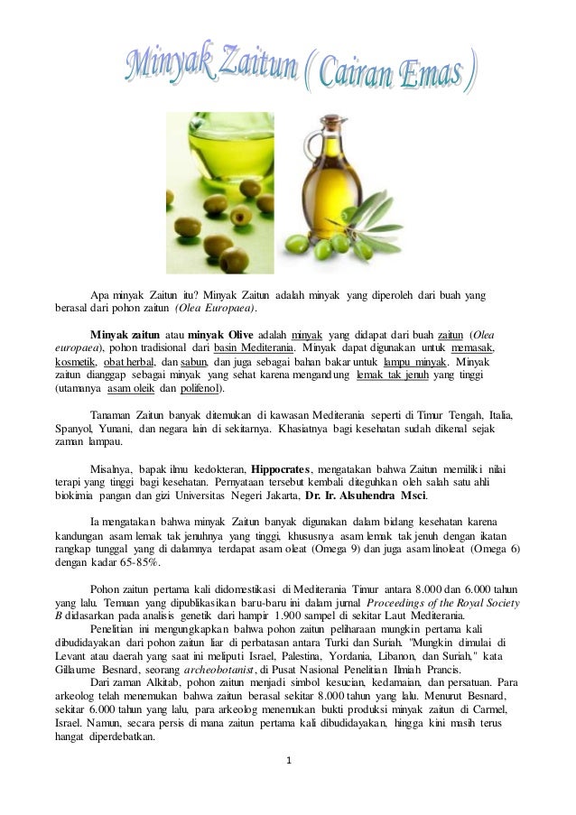 1
Apa minyak Zaitun itu? Minyak Zaitun adalah minyak yang diperoleh dari buah yang
berasal dari pohon zaitun (Olea Europaea).
Minyak zaitun atau minyak Olive adalah minyak yang didapat dari buah zaitun (Olea
europaea), pohon tradisional dari basin Mediterania. Minyak dapat digunakan untuk memasak,
kosmetik, obat herbal, dan sabun, dan juga sebagai bahan bakar untuk lampu minyak. Minyak
zaitun dianggap sebagai minyak yang sehat karena mengandung lemak tak jenuh yang tinggi
(utamanya asam oleik dan polifenol).
Tanaman Zaitun banyak ditemukan di kawasan Mediterania seperti di Timur Tengah, Italia,
Spanyol, Yunani, dan negara lain di sekitarnya. Khasiatnya bagi kesehatan sudah dikenal sejak
zaman lampau.
Misalnya, bapak ilmu kedokteran, Hippocrates, mengatakan bahwa Zaitun memiliki nilai
terapi yang tinggi bagi kesehatan. Pernyataan tersebut kembali diteguhkan oleh salah satu ahli
biokimia pangan dan gizi Universitas Negeri Jakarta, Dr. Ir. Alsuhendra Msci.
Ia mengatakan bahwa minyak Zaitun banyak digunakan dalam bidang kesehatan karena
kandungan asam lemak tak jenuhnya yang tinggi, khususnya asam lemak tak jenuh dengan ikatan
rangkap tunggal yang di dalamnya terdapat asam oleat (Omega 9) dan juga asam linoleat (Omega 6)
dengan kadar 65-85%.
Pohon zaitun pertama kali didomestikasi di Mediterania Timur antara 8.000 dan 6.000 tahun
yang lalu. Temuan yang dipublikasikan baru-baru ini dalam jurnal Proceedings of the Royal Society
B didasarkan pada analisis genetik dari hampir 1.900 sampel di sekitar Laut Mediterania.
Penelitian ini mengungkapkan bahwa pohon zaitun peliharaan mungkin pertama kali
dibudidayakan dari pohon zaitun liar di perbatasan antara Turki dan Suriah. "Mungkin dimulai di
Levant atau daerah yang saat ini meliputi Israel, Palestina, Yordania, Libanon, dan Suriah," kata
Gillaume Besnard, seorang archeobotanist, di Pusat Nasional Penelitian Ilmiah Prancis.
Dari zaman Alkitab, pohon zaitun menjadi simbol kesucian, kedamaian, dan persatuan. Para
arkeolog telah menemukan bahwa zaitun berasal sekitar 8.000 tahun yang lalu. Menurut Besnard,
sekitar 6.000 tahun yang lalu, para arkeolog menemukan bukti produksi minyak zaitun di Carmel,
Israel. Namun, secara persis di mana zaitun pertama kali dibudidayakan, hingga kini masih terus
hangat diperdebatkan.
 