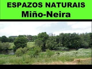 ESPAZOS NATURAIS
Miño-Neira
 
