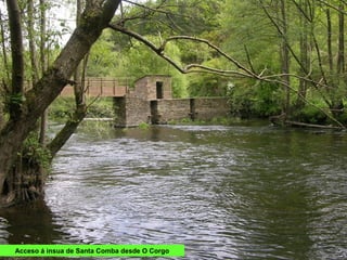 Acceso á insua de Santa Comba desde O Corgo
 