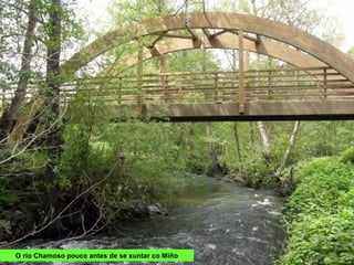 O río Chamoso pouco antes de se xuntar co Miño
 
