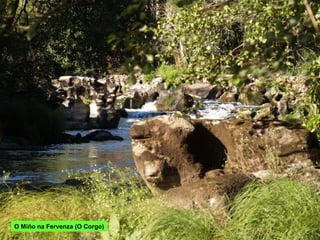 O Miño na Fervenza (O Corgo)
 
