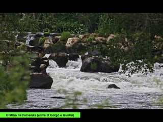 O Miño na Fervenza (entre O Corgo e Guntín)
 