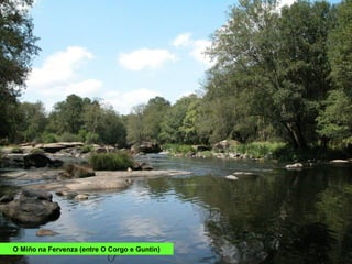 O Miño na Fervenza (entre O Corgo e Guntín)
 