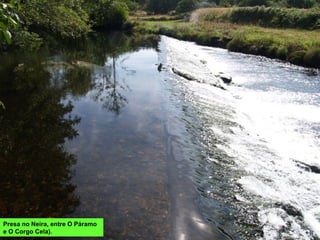 Presa no Neira, entre O Páramo
e O Corgo Cela).
 