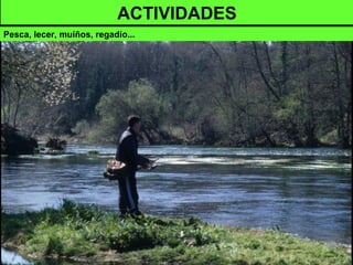 ACTIVIDADES
Pesca, lecer, muíños, regadío...
 