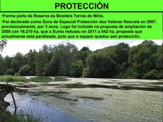 PROTECCIÓN
•Forma parte da Reserva da Biosfera Terras do Miño.
•Foi declarado como Zona de Especial Protección dos Valores Naturais en 2007,
provisionalmente, por 3 anos. Logo foi incluído na proposta de ampliación de
2008 con 18.210 ha, que a Xunta reduceu en 2011 a 842 ha, proposta que
actualmente está paralizada, polo que o espazo quedou sen protección.
 