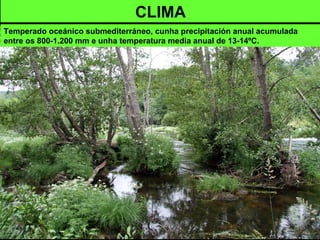 CLIMA
Temperado oceánico submediterráneo, cunha precipitación anual acumulada
entre os 800-1.200 mm e unha temperatura media anual de 13-14ºC.
 