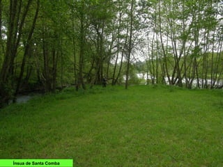 Ínsua de Santa Comba
 