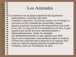 [object Object],Los Animales  