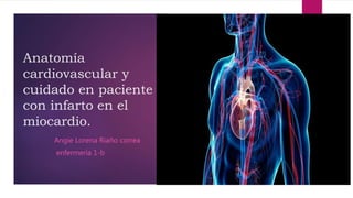 Anatomía
cardiovascular y
cuidado en paciente
con infarto en el
miocardio.
Angie Lorena Riaño correa
enfermería 1-b
 