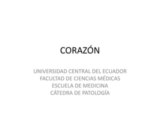 CORAZÓN 
UNIVERSIDAD CENTRAL DEL ECUADOR 
FACULTAD DE CIENCIAS MÉDICAS 
ESCUELA DE MEDICINA 
CÁTEDRA DE PATOLOGÍA 
 