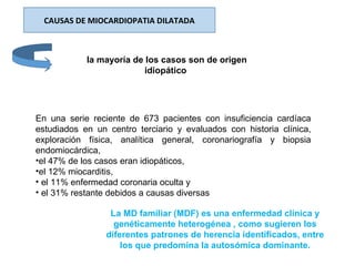 CAUSAS DE MIOCARDIOPATIA DILATADA
la mayoría de los casos son de origen
idiopático
En  una  serie  reciente  de  673  pacientes  con  insuficiencia  cardíaca 
estudiados  en  un  centro  terciario  y  evaluados  con  historia  clínica, 
exploración  física,  analítica  general,  coronariografía  y  biopsia 
endomiocárdica,
•el 47% de los casos eran idiopáticos, 
•el 12% miocarditis,
• el 11% enfermedad coronaria oculta y
• el 31% restante debidos a causas diversas
La MD familiar (MDF) es una enfermedad clínica y
genéticamente heterogénea , como sugieren los
diferentes patrones de herencia identificados, entre
los que predomina la autosómica dominante.
 