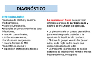 DIAGNÓSTICO
INTERROGATORIO
•consumo de alcohol y cocaína,
medicamentos,
•hábitos nutricionales,
•estancias en zonas endémicas para
infecciones,
• relación con animales,
• embarazos recientes,
•transfusiones sanguíneas,
• historia familiar de MD,
•somnolencia diurna y
• exposición profesional a tóxicos
La exploración física suele revelar
diferentes grados de cardiomegalia y
signos de insuficiencia cardíaca.
• La presencia de un galope presistólico
(cuarto ruido) puede preceder a la
aparición de insuficiencia cardíaca.
• El ritmo de galope ventricular (tercer
ruido) es la regla en los casos con
descompensación de la IC.
• Es frecuente la presencia de soplos
sistólicos de insuficiencia mitral o, menos
frecuentemente, tricuspídea
 