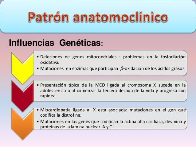 El bosque de pino la codificación del alcohol
