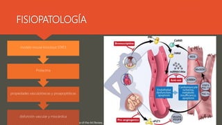 FISIOPATOLOGÍA
Melinda B. Davis, Peripartum Cardiomyopathy JACC State-of-the-Art Review, JOURNAL OF T H E AMERICAN COL LE GE OF CARD IOLOGY, V O L . 7 5 , NO . 2 , 2 0 2 0
disfunción vascular y miocárdica
propiedades vasculotóxicas y proapoptóticas
Prolactina
modelo mouse knockout STAT3
 