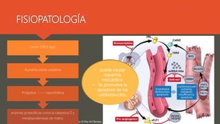 FISIOPATOLOGÍA
Melinda B. Davis, Peripartum Cardiomyopathy JACC State-of-the-Art Review, JOURNAL OF T H E AMERICAN COL LE GE OF CARD IOLOGY, V O L . 7 5 , NO . 2 , 2 0 2 0
enzimas proteolíticas como la catepsina D y
metaloproteinasas de matriz.
Prolactiva ------ vasoinhibina
Aumento estrés oxidativo
Factor STAT3 bajo
• puede causar
isquemia
miocárdica.
• Se promueve la
apoptosis de los
cardiomiocitos.
 