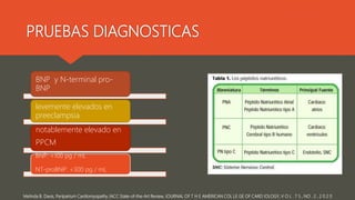 PRUEBAS DIAGNOSTICAS
Melinda B. Davis, Peripartum Cardiomyopathy JACC State-of-the-Art Review, JOURNAL OF T H E AMERICAN COL LE GE OF CARD IOLOGY, V O L . 7 5 , NO . 2 , 2 0 2 0
BNP y N-terminal pro-
BNP
levemente elevados en
preeclampsia
notablemente elevado en
PPCM
BNP: <100 pg / mL
NT-proBNP: <300 pg / mL
 