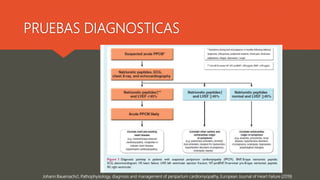 PRUEBAS DIAGNOSTICAS
Johann Bauersachs1, Pathophysiology, diagnosis and management of peripartum cardiomyopathy, European Journal of Heart Failure (2019)
 