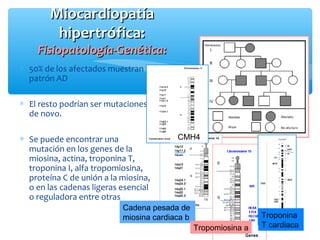 MiocardiopatíaMiocardiopatía
hipertrófica:hipertrófica:
Fisiopatología-Genética:Fisiopatología-Genética:
∗ 50% de los afectados muestran
patrón AD
∗ El resto podrían ser mutaciones
de novo.
∗ Se puede encontrar una
mutación en los genes de la
miosina, actina, troponina T,
troponina I, alfa tropomiosina,
proteína C de unión a la miosina,
o en las cadenas ligeras esencial
o reguladora entre otras
Cadena pesada de
miosina cardiaca b
Tropomiosina a
Troponina
T cardiaca
CMH4
 
