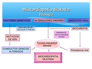 Miocardiopatía dilatada:Miocardiopatía dilatada:
EtiologíaEtiología
MIOCARDIOPATIAMIOCARDIOPATIA
DILATADADILATADA
FACTORES GENETICOS ALTERACIONES INMUNES
DISFUNCION DE
CELULAS T POR AC
MUTACION
DE ADN
CONDUCTOS GENICOS
ALTERADOS
Interferencia
con la respuesta
inmune
MIOCARDITIS
Persistencia viral
Función miocárdica
alterada
INFECCION VIRAL
 