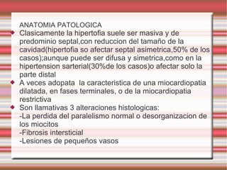 ANATOMIA PATOLOGICA
 Clasicamente la hipertofia suele ser masiva y de
predominio septal,con reduccion del tamaño de la
cavidad(hipertofia so afectar septal asimetrica,50% de los
casos);aunque puede ser difusa y simetrica,como en la
hipertension sarterial(30%de los casos)o afectar solo la
parte distal
 A veces adopata la caracteristica de una miocardiopatia
dilatada, en fases terminales, o de la miocardiopatia
restrictiva
 Son llamativas 3 alteraciones histologicas:
-La perdida del paralelismo normal o desorganizacion de
los miocitos
-Fibrosis intersticial
-Lesiones de pequeños vasos
 