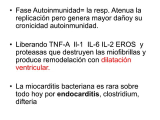 • Fase Autoinmunidad= la resp. Atenua la
replicación pero genera mayor dañoy su
cronicidad autoinmunidad.
• Liberando TNF-A Il-1 IL-6 IL-2 EROS y
proteasas que destruyen las miofibrillas y
produce remodelación con dilatación
ventricular.
• La miocarditis bacteriana es rara sobre
todo hoy por endocarditis, clostridium,
difteria
 