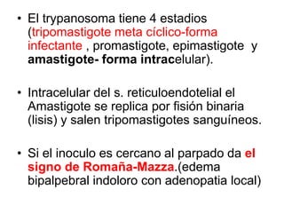 • El trypanosoma tiene 4 estadios
(tripomastigote meta cíclico-forma
infectante , promastigote, epimastigote y
amastigote- forma intracelular).
• Intracelular del s. reticuloendotelial el
Amastigote se replica por fisión binaria
(lisis) y salen tripomastigotes sanguíneos.
• Si el inoculo es cercano al parpado da el
signo de Romaña-Mazza.(edema
bipalpebral indoloro con adenopatia local)
 