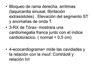 • Bloqueo de rama derecha, arritmias
(taquicardia sinusal, fibrilación
extrasístoles) . Elevación del segmento ST
y anomalías de onda T.
• 3-RX de Tórax- mostrara una
cardiomegalia franca junto con el índice
cardiotorácico. ( normal < 0.5 cm)
• 4-ecocardiograma= mide las cavidades y
la relación con la insuf. Contráctil y
relación h/r
 
