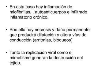 • En esta caso hay inflamación de
miofibrillas, , autoanticuerpos e infiltrado
inflamatorio crónico.
• Poe ello hay necrosis y daño permanente
que producirá dilatación y altera vías de
conducción (arritmias, bloqueos)
• Tanto la replicación viral como el
mimetismo generan la destrucción del
tejido.
 