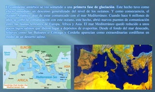 El continente antártico se vio sometido a una primera fase de glaciación. Este hecho tuvo como
efecto inmediato un descenso generalizado del nivel de los océanos. Y como consecuencia, el
océano Atlántico dejó de estar comunicado con el mar Mediterráneo. Cuando hace 6 millones de
años se cortó la comunicación con este océano, este hecho, abrió nuevos puentes de comunicación
entre las faunas terrestres de Europa, África y Asia. El mar Mediterráneo quedó reducido a unos
pocos lagos salinos que dieron lugar a depósitos de evaporitas. Desde el fondo del mar desecado,
relieves como las Baleares o Córcega y Cerdeña aparecían como extraordinarias cordilleras en
medio de un desierto salino.
 