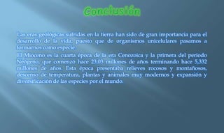 Las eras geológicas sufridas en la tierra han sido de gran importancia para el
desarrollo de la vida, puesto que de organismos unicelulares pasamos a
formarnos como especie.
El Mioceno es la cuarta época de la era Cenozoica y la primera del periodo
Neógeno, que comenzó hace 23,03 millones de años terminando hace 5,332
millones de años. Esta época presentaba relieves rocosos y montañosos,
descenso de temperatura, plantas y animales muy modernos y expansión y
diversificación de las especies por el mundo.
 