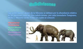 Las subdivisiones dentro de la Mioceno se definen por la abundancia relativa
de las diferentes especies. Dos subdivisiones por cada formulario Temprano,
Medio y Mioceno tardío. Entre los cuales se conocen:
•Messiniense
•Tortoniense
•Serravalliense
•Langhiense
•Burdigaliense
•Arquitaniense
 