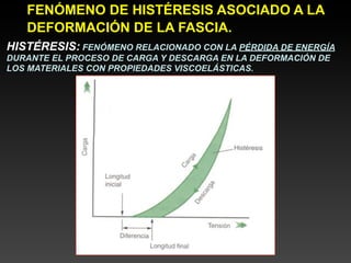 FENÓMENO DE HISTÉRESIS ASOCIADO A LA
   DEFORMACIÓN DE LA FASCIA.
HISTÉRESIS: FENÓMENO RELACIONADO CON LA PÉRDIDA DE ENERGÍA
DURANTE EL PROCESO DE CARGA Y DESCARGA EN LA DEFORMACIÓN DE
LOS MATERIALES CON PROPIEDADES VISCOELÁSTICAS.
 