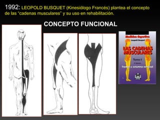 1992: LEOPOLD BUSQUET (Kinesiólogo Francés) plantea el concepto
de las “cadenas musculares” y su uso en rehabilitación.

                   CONCEPTO FUNCIONAL
 