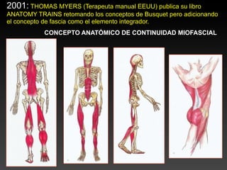 2001: THOMAS MYERS (Terapeuta manual EEUU) publica su libro
ANATOMY TRAINS retomando los conceptos de Busquet pero adicionando
el concepto de fascia como el elemento integrador.
           CONCEPTO ANATÓMICO DE CONTINUIDAD MIOFASCIAL
 