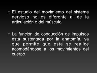 • El estudio del movimiento del sistema
  nervioso no es diferente al de la
  articulación o del músculo.

• La función de conducción de impulsos
  está sustentada por la anatomía, ya
  que permite que esta se realice
  acomodándose a los movimientos del
  cuerpo
 