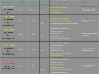 Déficit      Déficit
CLASIFICACIÓN                                                        Anatomía Patológica                 Pronóstico
                   motor      vegetativo
                                              Déficit
NEUROAPRAXIA                                 sensitivo   Persiste conducción distal.
                                                                                                         Recuperación completa
   (1º GRADO    Presente     Mínimo o nulo               Desmielinización selectiva.                     en semanas o meses.
                                             Total
      DE                                                 Sin atrofia muscular.

 SUNDERLAND)
 AXONOTMESIS
                                                         Interrupción de la conducción.
   (2º GRADO                                                                                             Recuperación completa
                Presente        Parcial                  Degeneración walleriana del axón.
      DE                                                                                                 en meses.
                                             Total       Atrofia muscular progresiva pero recuperable.
 SUNDERLAND)
                                                         Interrupción de la conducción.
 AXONOTMESIS
                                                         Fibrilación en reposo.
   (3º GRADO                                             Desmielinización.                               Impotencia funcional leve
                Presente         Total
      DE                                                                                                 a moderada.
                                             Total       Interrupción del axón.
 SUNDERLAND)                                             Degeneración walleriana del axón.
                                                         Fibrosis intrafascicular.
                                                         Interrupción de la conducción.
 AXONOTMESIS                                             Fibrilación en reposo.
   (4º GRADO                                             Desmielinización.
                                                                                                         Impotencia funcional
                Presente         Total
      DE                                     Total       Interrupción del axón.                          moderada a severa.
                                                         Degeneración walleriana del axón.
 SUNDERLAND)
                                                         Rotura del perineuro.
                                                         Fibrosis intra y perineural.
                                                         Interrupción de la conducción.
                                                         Fibrilación en reposo.
 NEUROTMESIS
                                                         Sección total del nervio.                       Impotencia funcional
 (5º GRADO DE   Presente         Total
                                                         Interrupción del axón.                          severa o total.
 SUNDERLAND)                                 Total       Interrupción de estructuras conectivas.
                                                         Atrofia muscular progresiva.
 