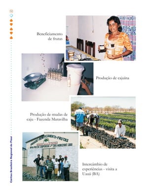 92




                                            Beneficiamento
                                                  de frutas




                                                                           Produção de cajuína




                                         Produção de mudas de
                                       caju - Fazenda Maravilha
Cáritas Brasileira Regional do Piauí




                                                                  Intercâmbio de
                                                                  experiências - visita a
                                                                  Uauá (BA)
 