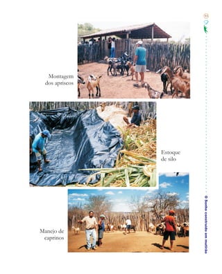 93




   Montagem
  dos apriscos




                 Estoque
                 de silo




                           O Sonho construído em mutirão




Manejo de
 caprinos
 