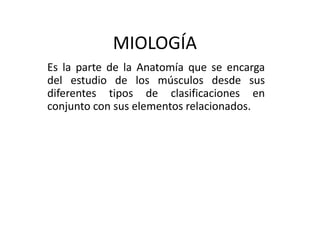 MIOLOGÍA
Es la parte de la Anatomía que se encarga
del estudio de los músculos desde sus
diferentes tipos de clasificaciones en
conjunto con sus elementos relacionados.

 